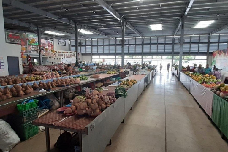 Nadi: Private Tour with Temple, Garden, Markets & Mud Pools