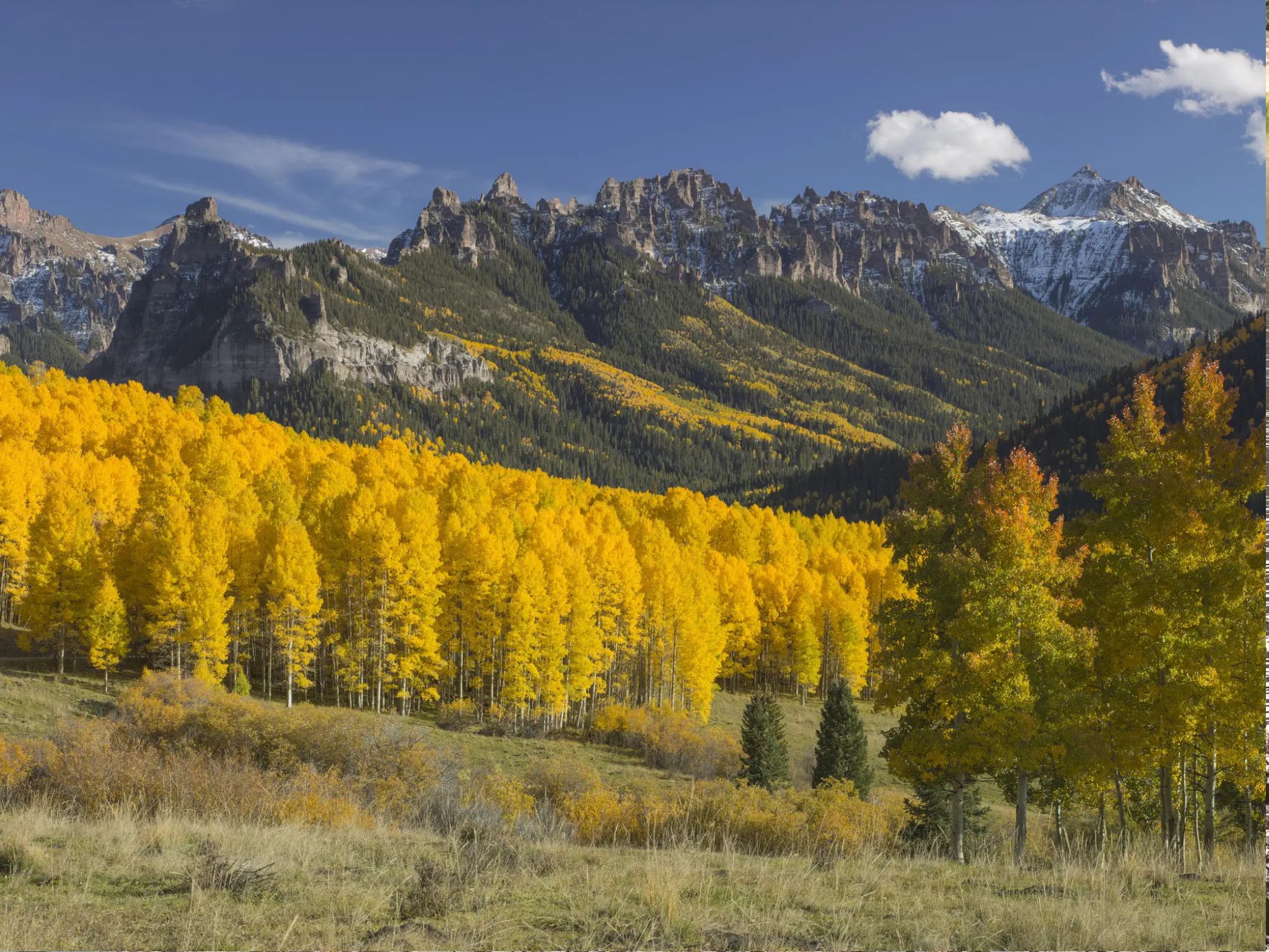Ab Denver: Geführte Tour durch den Rocky-Mountain-Nationalpark