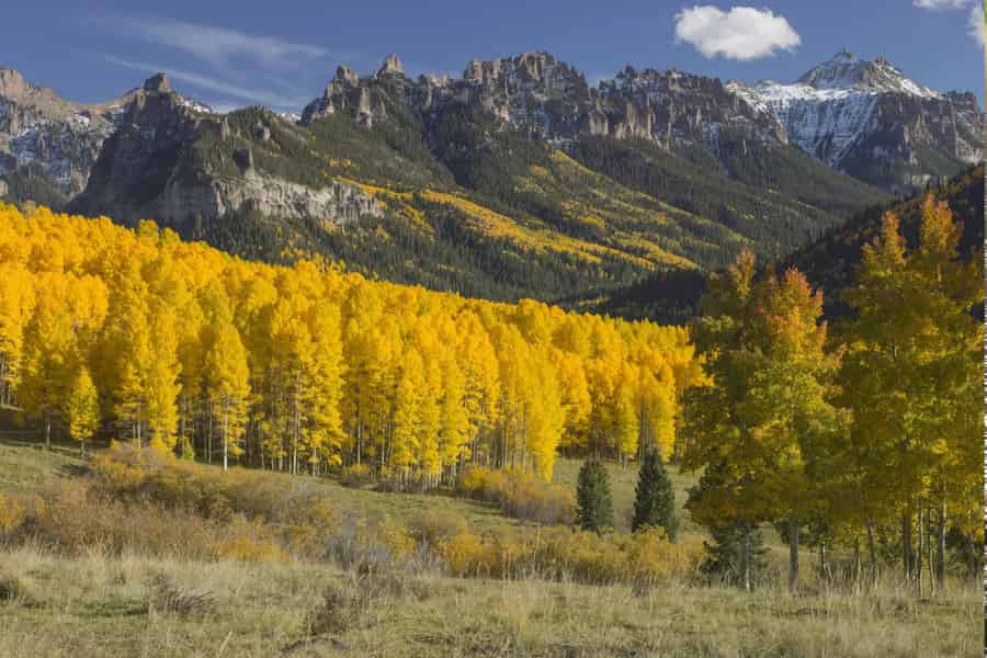 Ab Denver: Geführte Tour durch den Rocky-Mountain-Nationalpark. Foto: GetYourGuide
