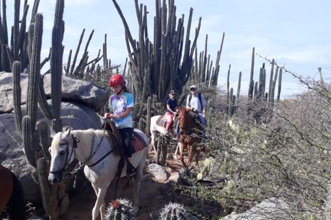 Excursión a Caballo a la Laguna Oculta de Aruba