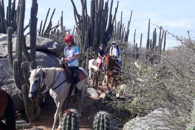 Excursion à cheval à Aruba vers le lagon caché