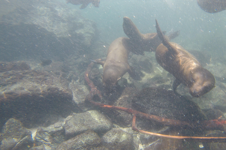 GANZER TAG AUF DER INSEL SANTA FE IN GALAPAGOS