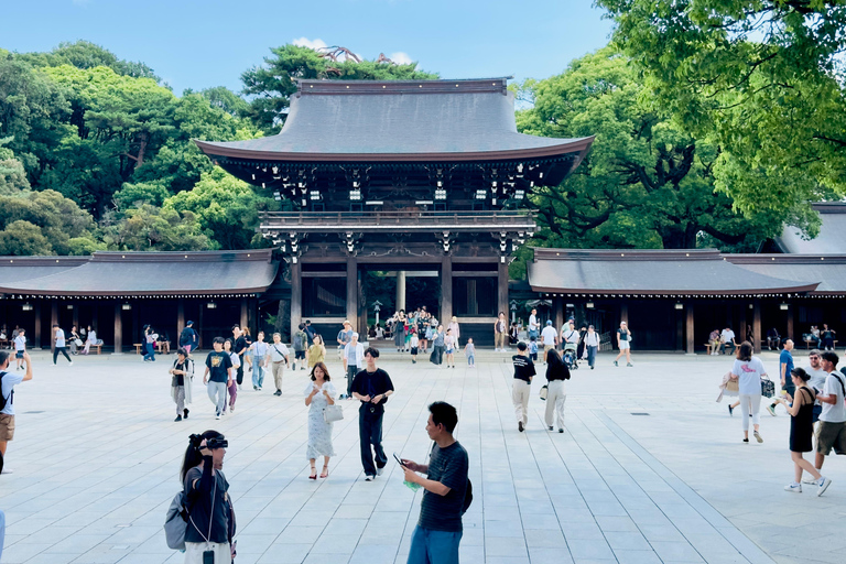 2 Days Tokyo & Mt Fuji Customizable tour with English Driver