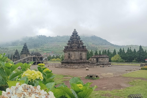 从日惹出发的日出西库尼尔山和迪恩高原之旅从日惹到日出 Sikunir 和 Dieng 高原之旅