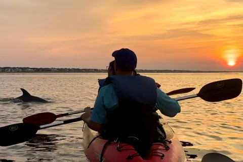 Virginia Beach: Dolphin Kayak Tour: This is a Workout!