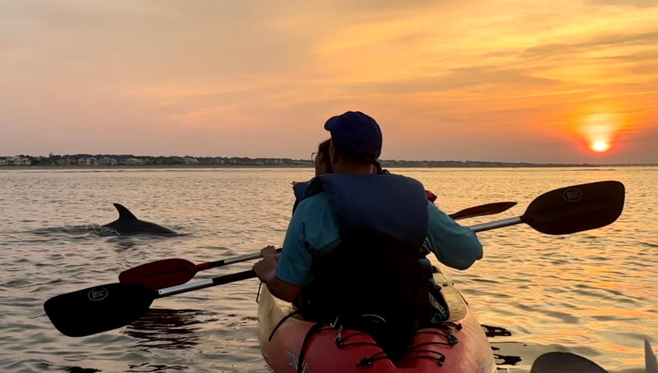 Virginia Beach: Delphin Kajak Tour: Das ist ein Workout!