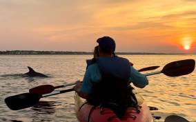 Virginia Beach: Kayak Dolphin Tours | Must Know How to Swim