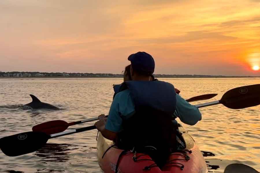 Virginia Beach: Kajak-Delphin-Touren | Muss schwimmen können. Foto: GetYourGuide