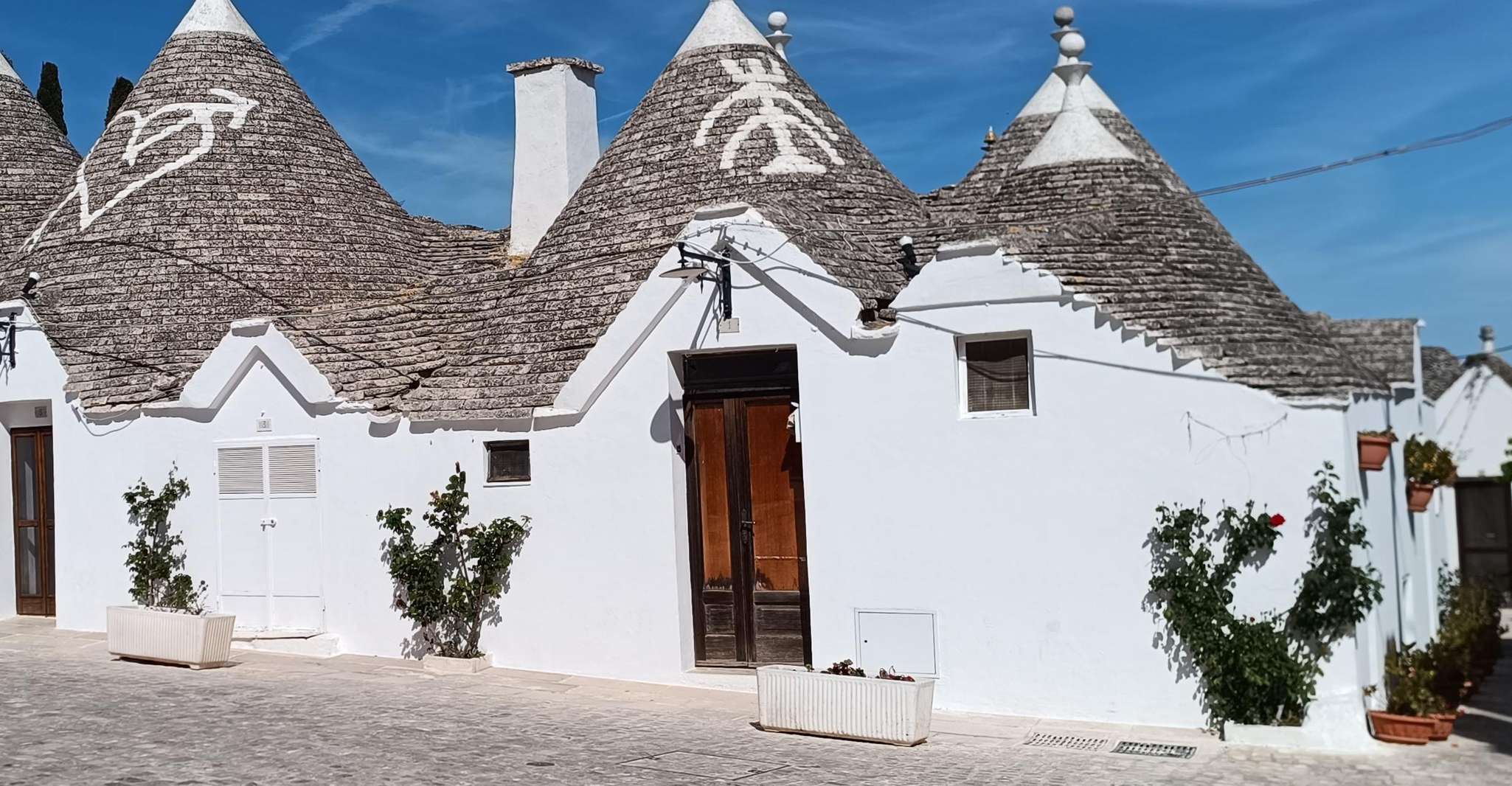Ostuni: Alberobello, Locorotondo, Ostuni & Apulian brunch photo 2