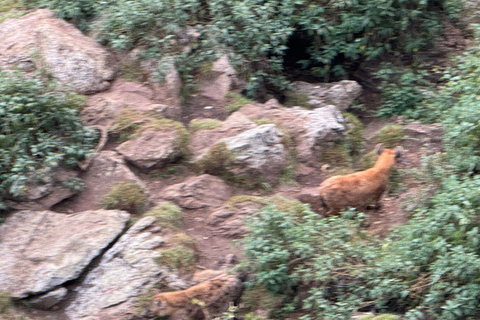 Akaro Village Sunrise & Sunset Wildlife Hike – Entoto