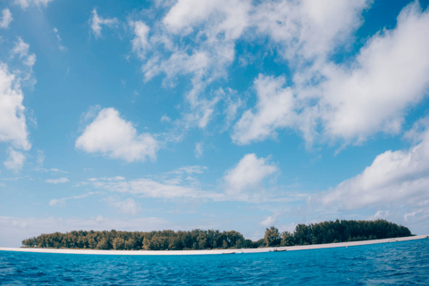 Passeio com snorkel e golfinhos na Ilha Mnemba ZANZIBAR