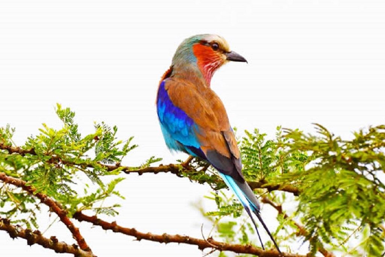 Kampala: Lake Mburo National Park & Horse Riding Tour