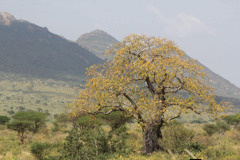 Mombasa/Diani: 2-Day Tsavo East Safari with Meals Private day tour to Tsavo East National Park - VAN