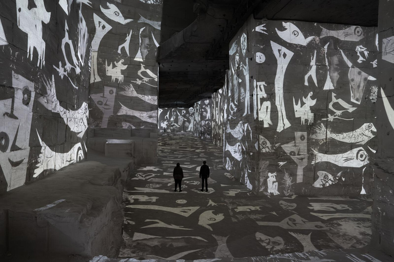 Les Baux-de-Provence: Carrières des Lumières Picasso-Frida Kahlo ticket