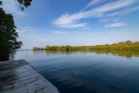 Cartagena: PRIVATE ISLAND with OPEN BAR, pool and lunch