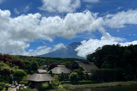 Depuis Tokyo : Excursion privée d&#039;une journée au Mont Fuji et à Hakone