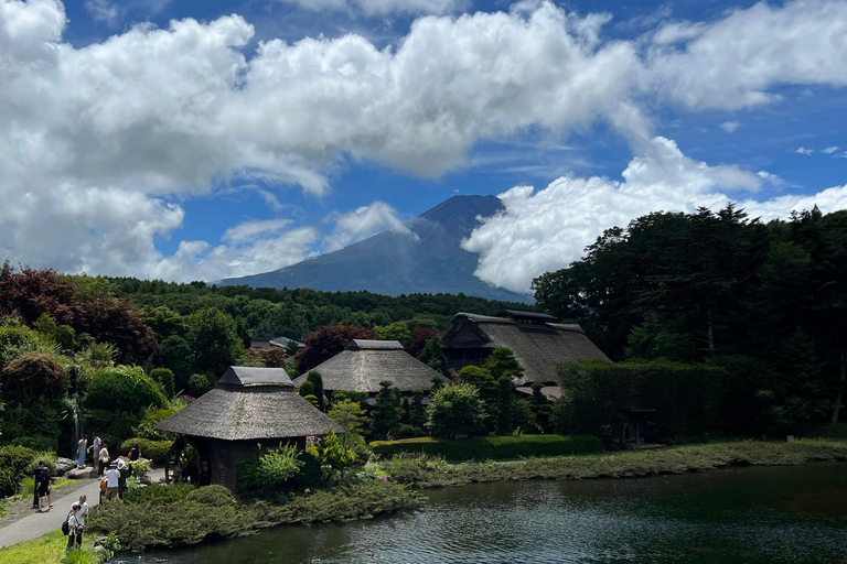 Depuis Tokyo : Excursion privée d&#039;une journée au Mont Fuji et à Hakone