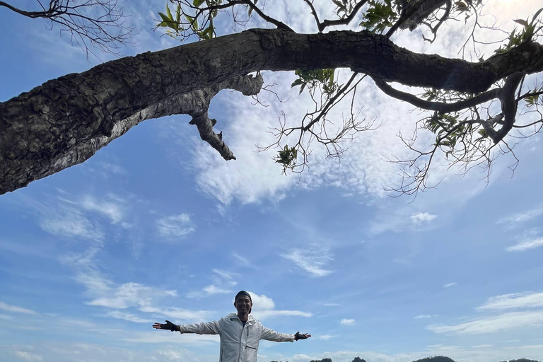 Langkawi: Kilim Geoforest Park Guided Jungle Trek