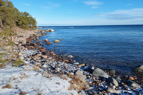 Vanuit Tallinn: Prangli eiland wandeling en sauna tour