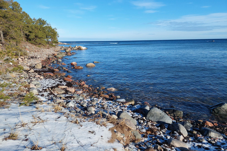Vanuit Tallinn: Prangli eiland wandeling en sauna tour