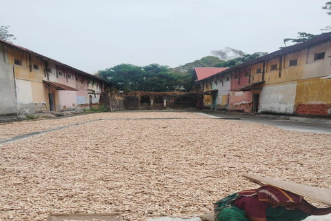 Kochi: Tuk-Tuk-Ausflug mit versteckten SchätzenKochi: Ausflug mit dem Tuk-Tuk zu versteckten Schätzen