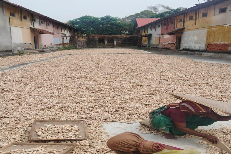 Kochi: Tuk-Tuk-Ausflug mit versteckten SchätzenKochi: Ausflug mit dem Tuk-Tuk zu versteckten Schätzen