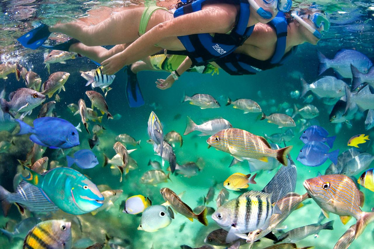 Inträde till Xel-Ha-parken med mat och fri bar ingårInträde till Xel-Ha-parken