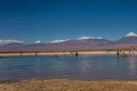 LAGUNE DE CEJAR, YEUX DE SEL ET LAGUNE DE TEBINQUINCHE