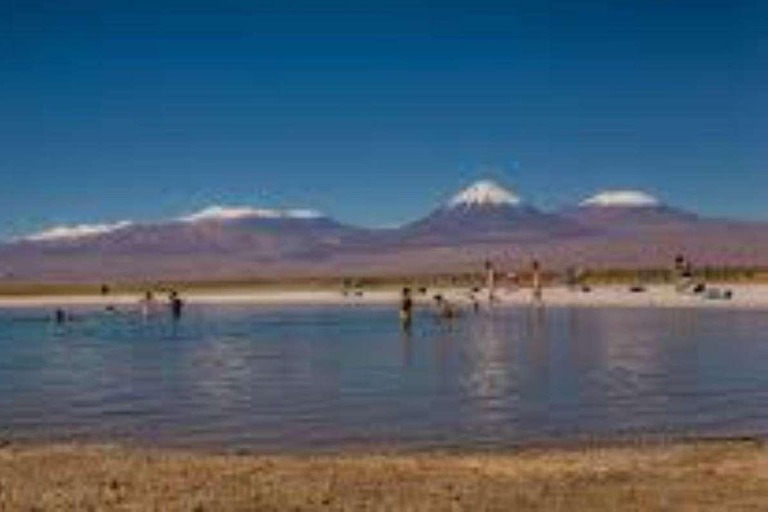 LAGUNE VON CEJAR, SALZAUGEN UND LAGUNE VON TEBINQUINCHE