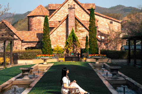 From Seoul: Chuncheon Highlights Day Trip