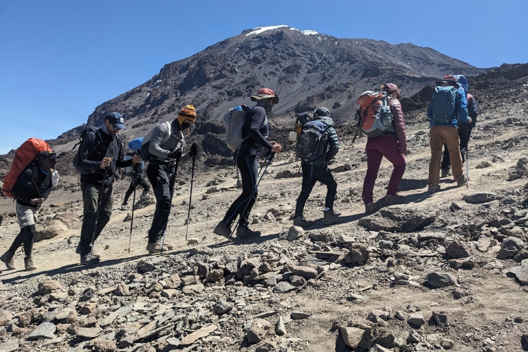 Kilimanjaro senderismo: 8 Días Lemosho - NASONGA EXPEDITION