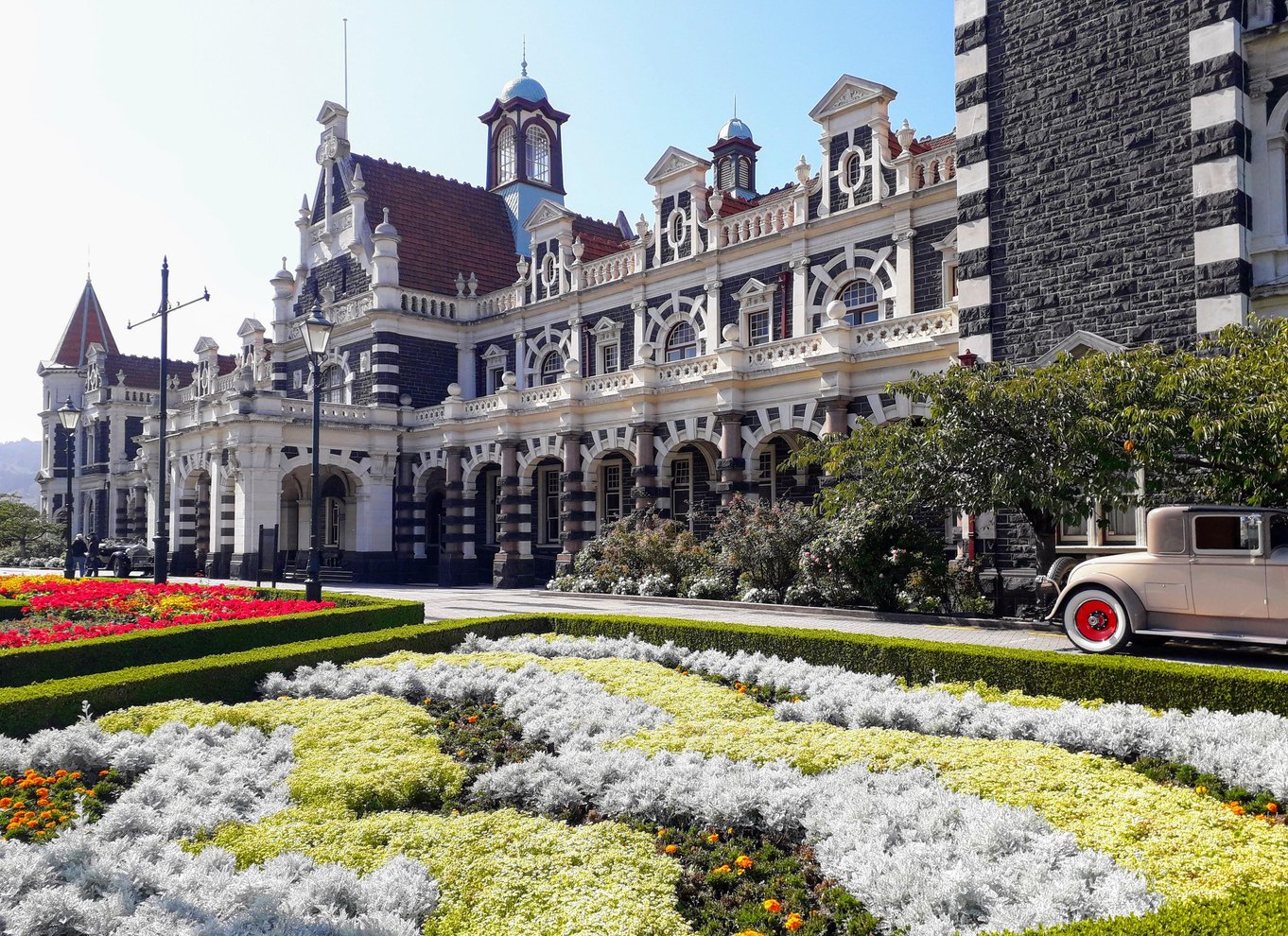 Dunedin: Otago-halvøen med guidet pingvintur