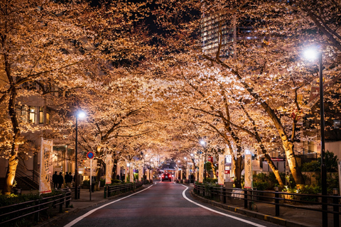 Tokyo: City Full-Day Private Customizable Best Places Tour