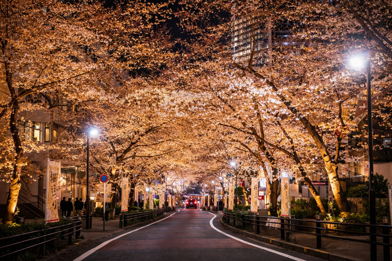 Tokyo: City Full-Day Private Customizable Best Places Tour