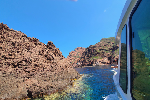 Scandola: visite de la réserve naturelle au départ de Porto (France)