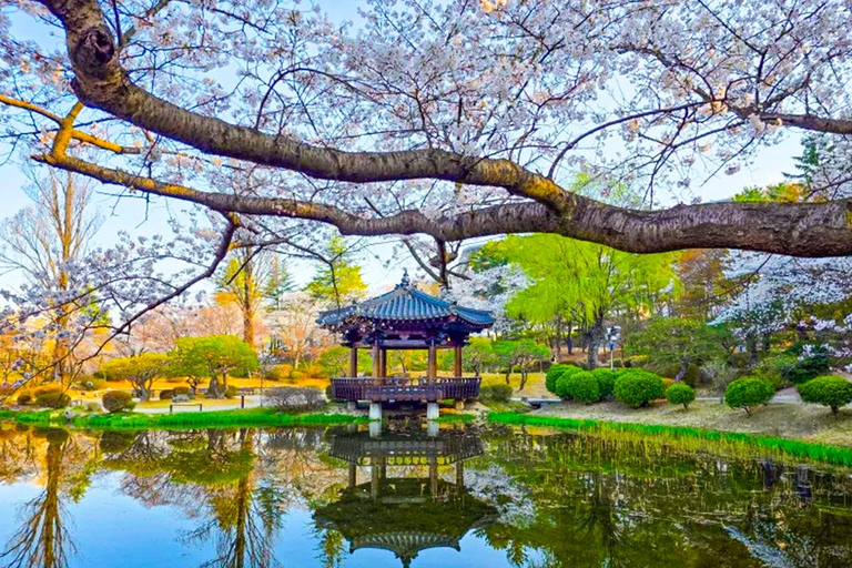 Busan: Spring Cherry Blossom & Gyeongju Highlights Day Tour