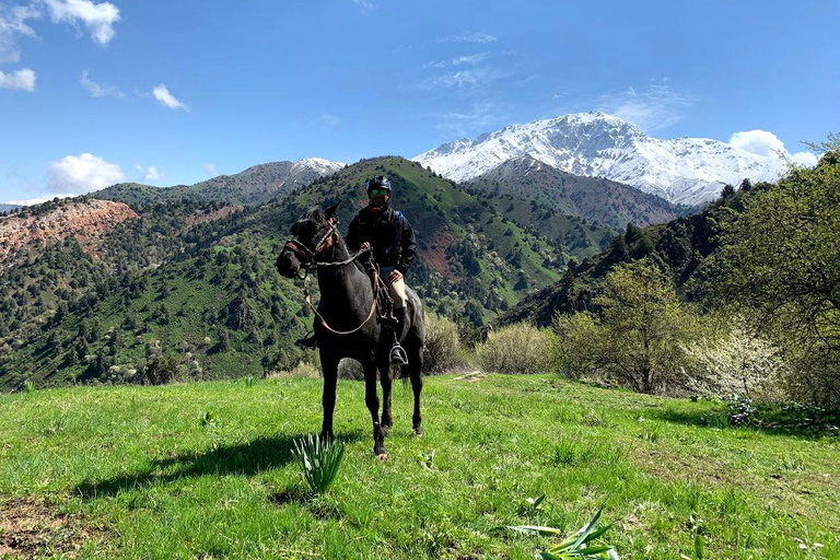 From Tashkent: Chimgan Valley Hiking Day Trip