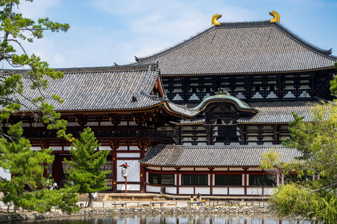 Kyoto & Nara: Private Cultural Journey with Guide & Pickup