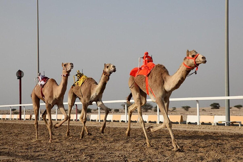 Doha: Richard Serra Sculpture, Mushroom Hills & Zekreet Fort