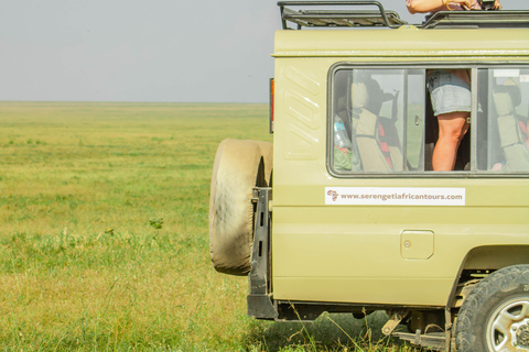 Zanzibar: 4-Day Mid-Range Safari Special for Honeymooners