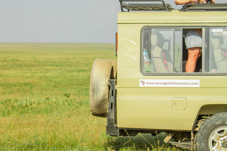 Zanzibar: 4-Day Mid-Range Safari Special for Honeymooners