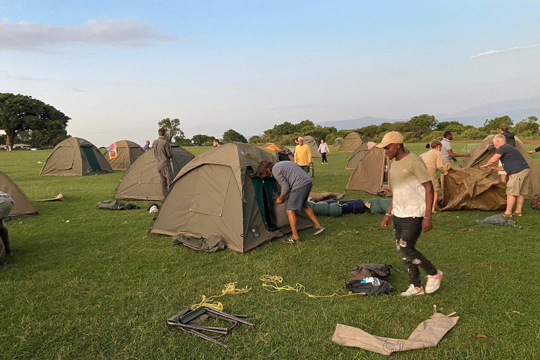 Serengeti: 6-tägige Camping Safari &amp; Materuni Kaffee TourSerengeti: 6-tägige Camping-Safari &amp; Materuni Kaffee-Tour