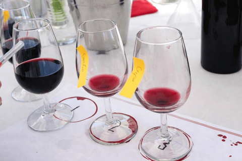 From Plovdiv: Wine Workshop with Blending and Tasting