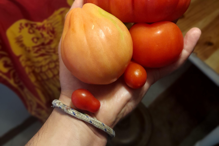 La Venise antique et ses épices : cours de cuisine et visite du marché