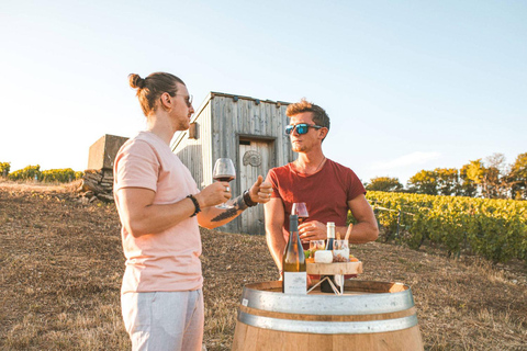 Paris: Prestige Sancerre Wine Tour with 10 Tastings & Lunch