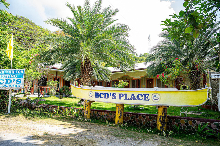 Tiburones ballena de Oslob, cascadas de Tumalog y banco de arena de SumilonRecogida en Cebú