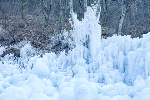 Busan: Winter Healing Park & (Gyeongju/Daegu) One Day Tour Healing Park + DAEGU Tour - Meet at Haeundae Station