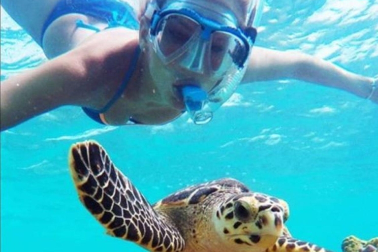 Nassau: wycieczka po Green Cay i nurkowanie z żółwiamiPrywatna wycieczka