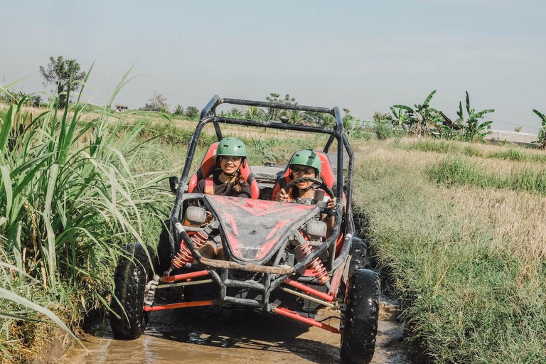 Ubud: 5-Terrain Buggy Adventure with Cave, River & Lunch Single Buggy: 1 Person per Buggy
