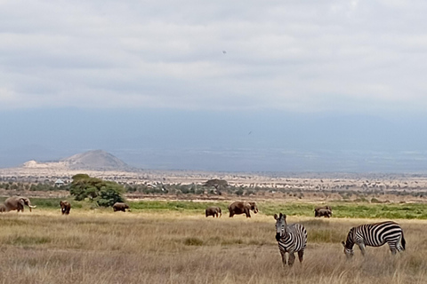 From Nairobi: Lake Nakuru & Naivasha National Park Day Tour Lake Nakuru & Naivasha